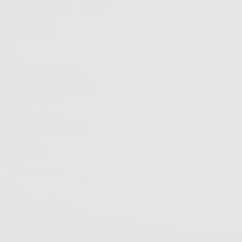 Frankie Bunk Bed with Mattress