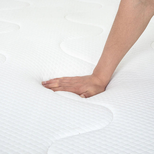 Catmint 12" Innerspring Mattress