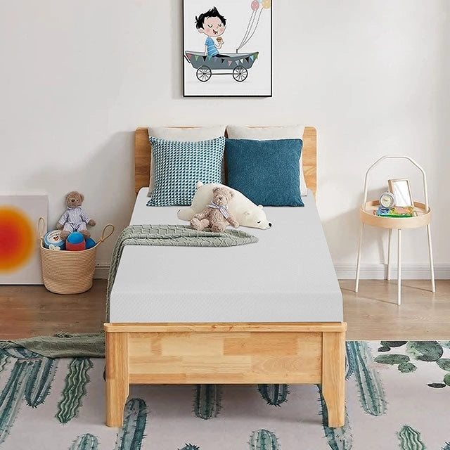 Artemisia 8"Foam Mattress